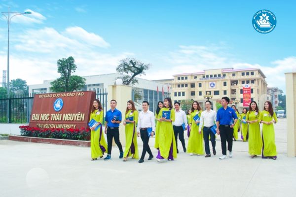 Học ngành kế toán hệ đào tạo từ xa